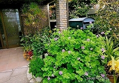 写真:その他応募作品5