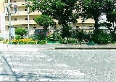 写真:その他応募作品4