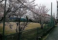 写真:その他応募作品5