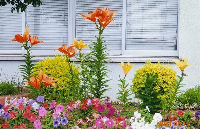 写真:優秀賞作品