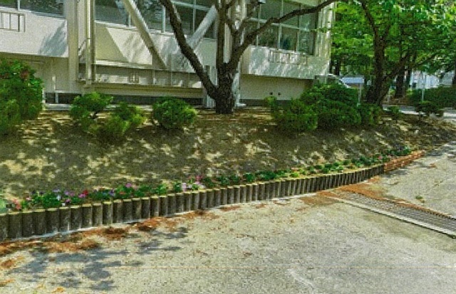 写真:優良賞作品