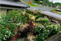 写真:その他応募作品11