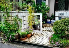 写真:その他応募作品12