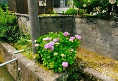 写真:その他応募作品14