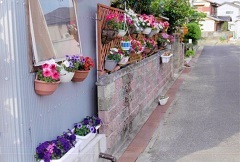 写真:その他応募作品17