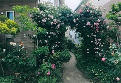 写真:その他応募作品1