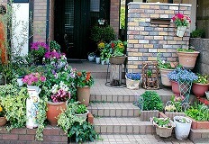 写真:その他応募作品2