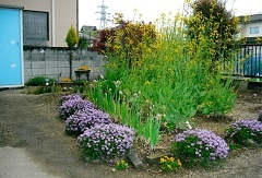 写真:その他応募作品3