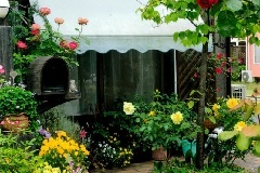 写真:その他応募作品8