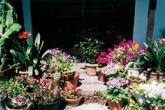 写真:その他応募作品4