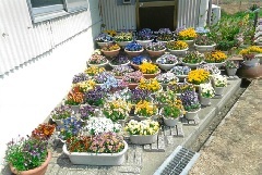 写真:その他応募作品10