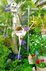 写真:その他応募作品11