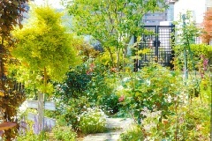 写真:その他応募作品14