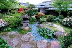 写真:その他応募作品17