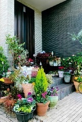 写真:その他応募作品15