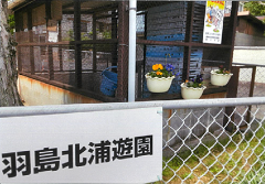 写真:その他応募作品