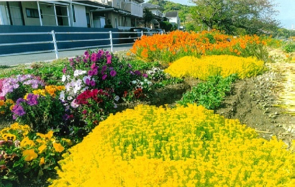 写真:最優秀賞作品