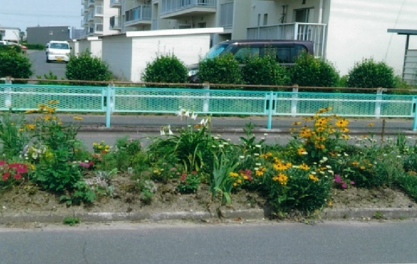 写真:優良賞作品