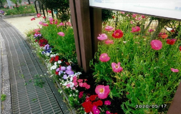 写真:優秀賞作品