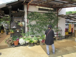 写真：ガーデン5