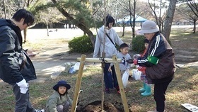写真：鳥居取り付け