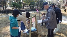 写真：堆肥準備