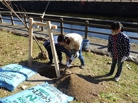 写真：穴掘り