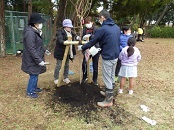 写真：酒津公園さくら2