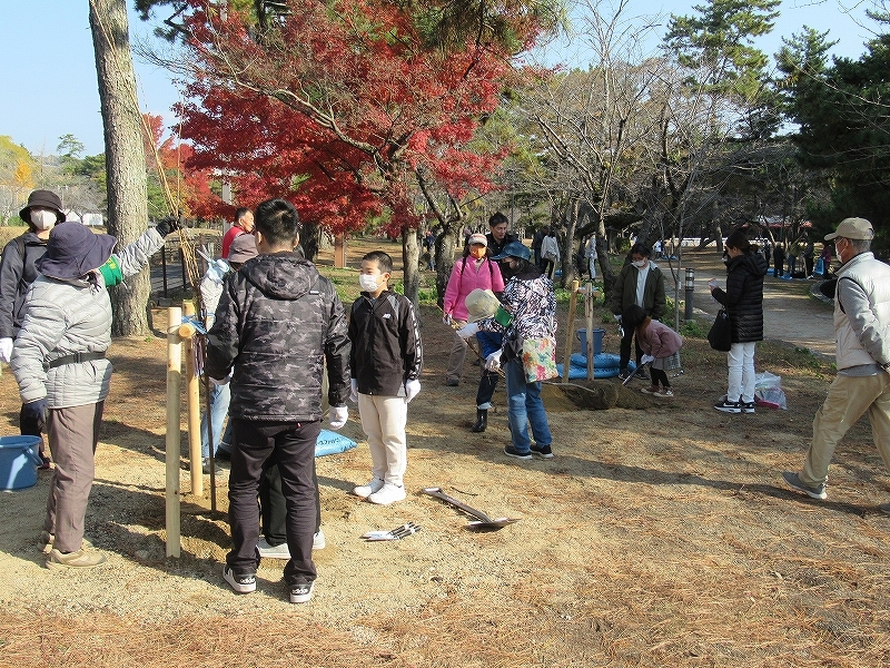 写真：植樹1