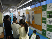 写真：旭丘小学校の体験学習 子どもの姿