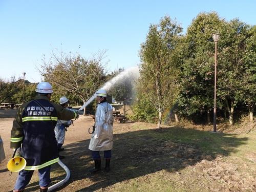 写真：林野