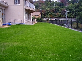写真：現況1