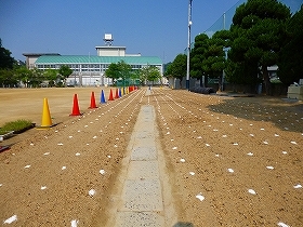 写真：植栽風景1