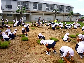 写真：植栽風景6