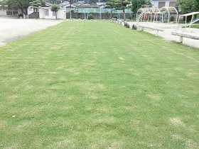 写真：赤崎小学校現在の芝生の状況