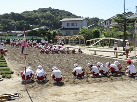 写真：赤崎小学校植栽の様子2