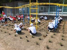 写真：旭丘小学校植栽の様子4