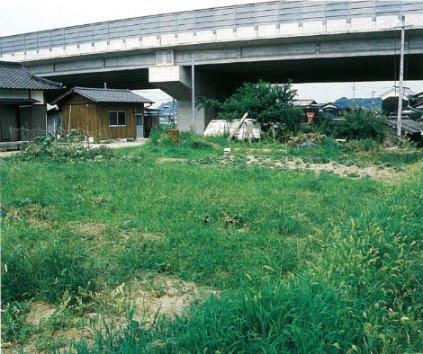 写真：磯の森貝塚