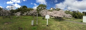 写真：日畑廃寺（赤井堂屋敷）