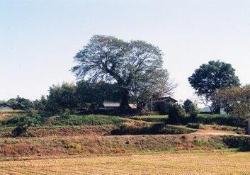 写真：岡田廃寺1
