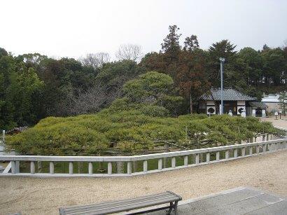 写真：影向の松