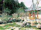 写真：庭園