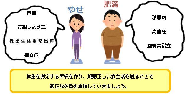 画像:肥満＆やせ