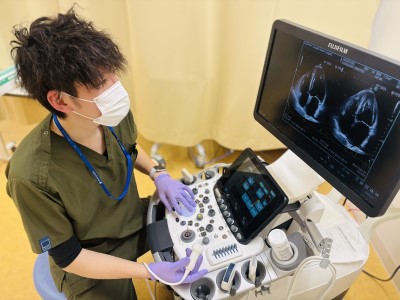 写真：エコー検査