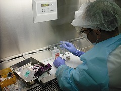 写真：薬剤師2