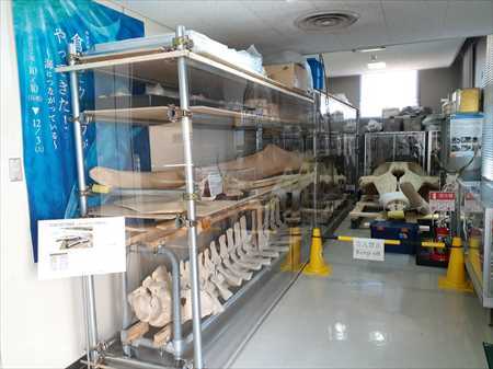 写真:3Fエレベーター前展示スペース