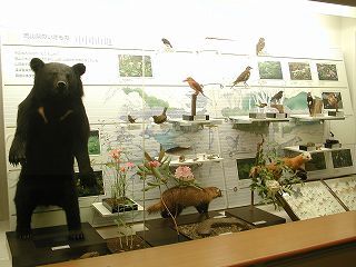 写真:第2展示室1