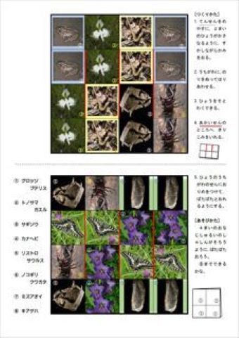 写真：ミュージアムパズル3