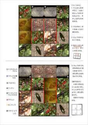 写真：ミュージアムパズル1
