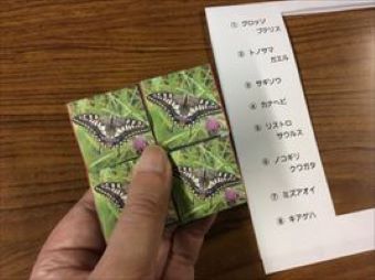 写真:遊び方イメージ2
